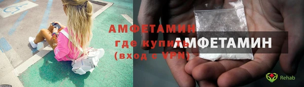 индика Кукмор