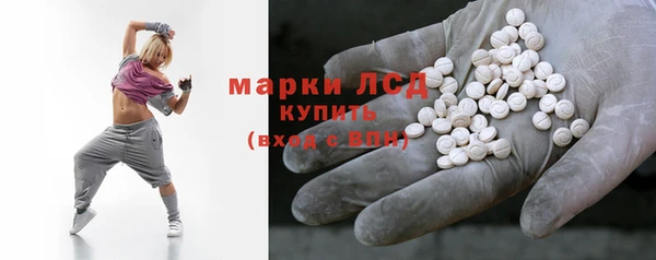 индика Кукмор