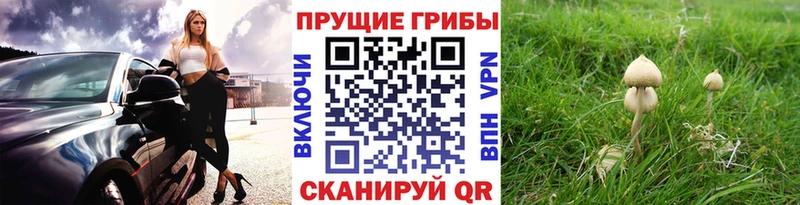 Галлюциногенные грибы мухоморы  Купить где  Липки 